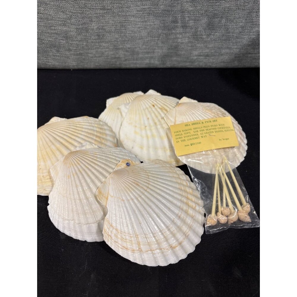 Sea Shell & Pick Set Baking & Serving Gourmet Dishes Includes Shell Picks